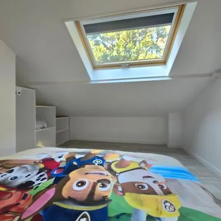 Maison Duplex Et Piscine * Вьей-Тулуза