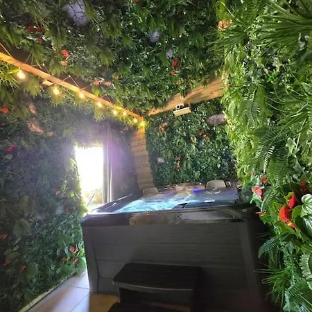 Maison ~spa Privatif & Piscine~ Toulouse Vieille-Toulouse