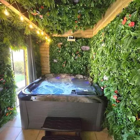 Maison Avec Et Piscine Vieille-Toulouse